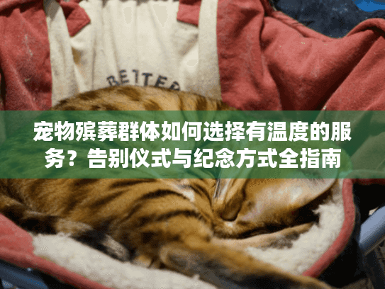 宠物殡葬群体如何选择有温度的服务？告别仪式与纪念方式全指南