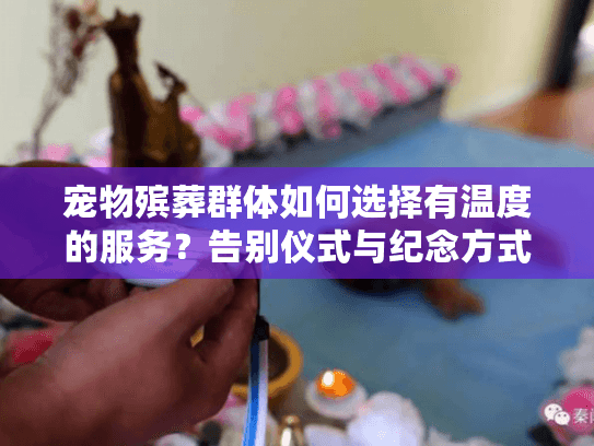 宠物殡葬群体如何选择有温度的服务？告别仪式与纪念方式全指南