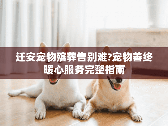 迁安宠物殡葬告别难?宠物善终暖心服务完整指南