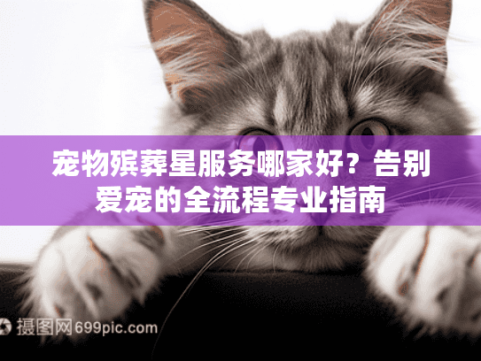 宠物殡葬星服务哪家好？告别爱宠的全流程专业指南