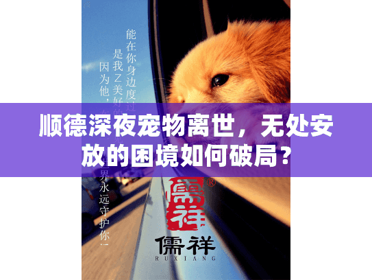 顺德深夜宠物离世,无处安放的困境如何破局?