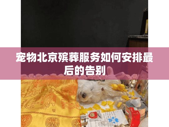 宠物北京殡葬服务如何安排最后的告别