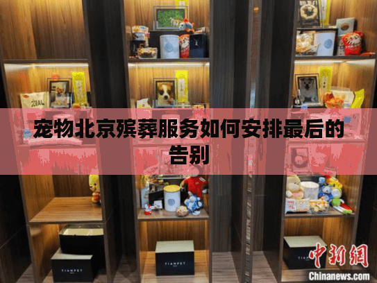 宠物北京殡葬服务如何安排最后的告别