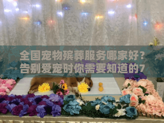 全国宠物殡葬服务哪家好？告别爱宠时你需要知道的7个真相