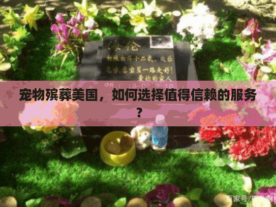 宠物殡葬美国，如何选择值得信赖的服务？