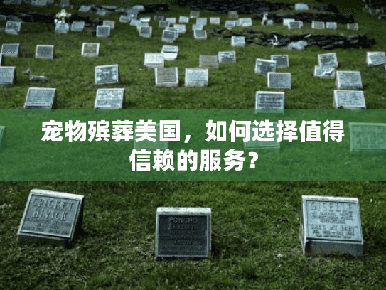 宠物殡葬美国，如何选择值得信赖的服务？