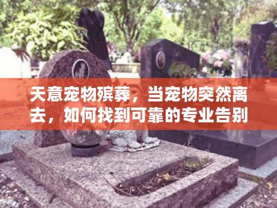 天意宠物殡葬，当宠物突然离去，如何找到可靠的专业告别服务？