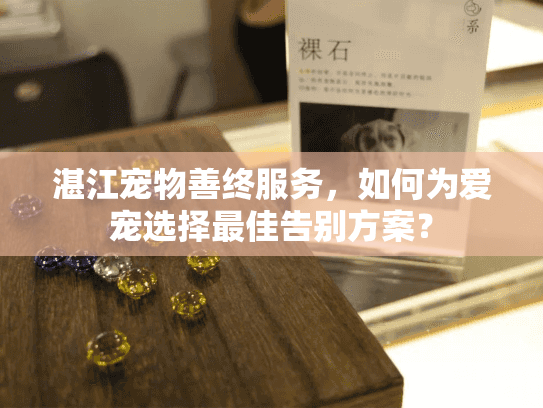 湛江宠物善终服务,如何为爱宠选择最佳告别方案?