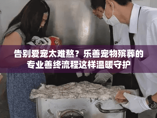 告别爱宠太难熬？乐善宠物殡葬的专业善终流程这样温暖守护