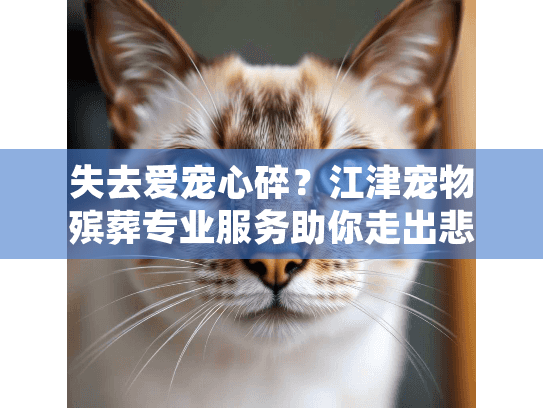 失去爱宠心碎？江津宠物殡葬专业服务助你走出悲伤