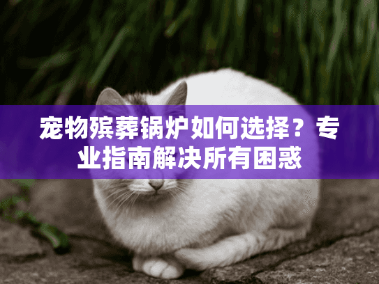 宠物殡葬锅炉如何选择？专业指南解决所有困惑