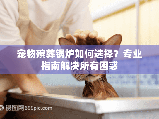 宠物殡葬锅炉如何选择？专业指南解决所有困惑