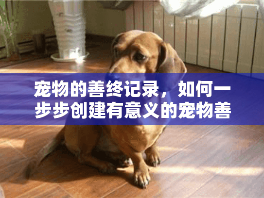 宠物的善终记录，如何一步步创建有意义的宠物善终日记指南