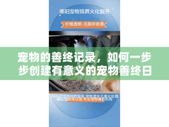 宠物的善终记录，如何一步步创建有意义的宠物善终日记指南