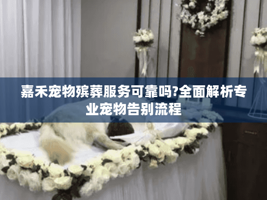 嘉禾宠物殡葬服务可靠吗?全面解析专业宠物告别流程