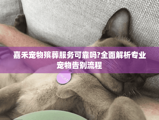嘉禾宠物殡葬服务可靠吗?全面解析专业宠物告别流程