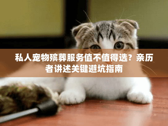 私人宠物殡葬服务值不值得选？亲历者讲述关键避坑指南