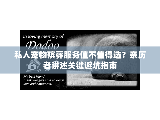 私人宠物殡葬服务值不值得选？亲历者讲述关键避坑指南