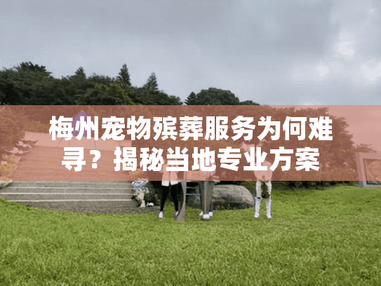 梅州宠物殡葬服务为何难寻？揭秘当地专业方案