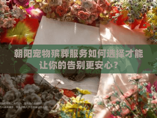 朝阳宠物殡葬服务如何选择才能让你的告别更安心？