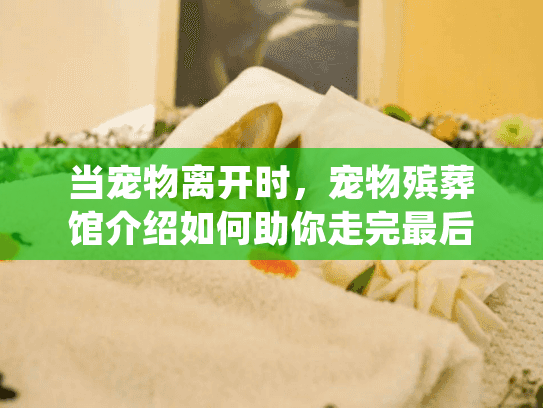 当宠物离开时，宠物殡葬馆介绍如何助你走完最后的路程