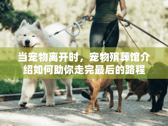 当宠物离开时，宠物殡葬馆介绍如何助你走完最后的路程