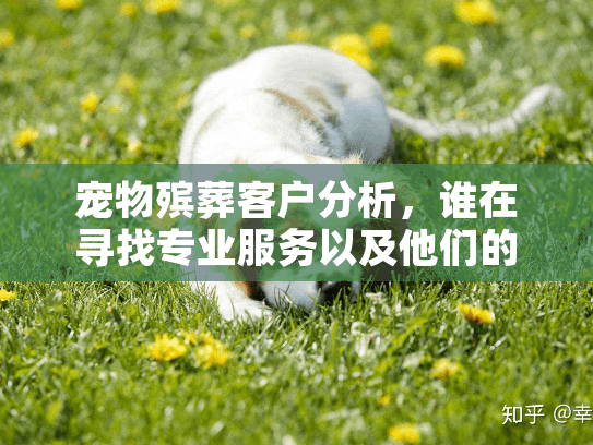 宠物殡葬客户分析，谁在寻找专业服务以及他们的核心需求是什么？