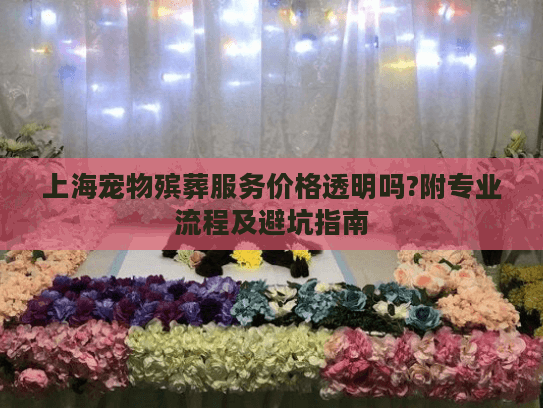 上海宠物殡葬服务价格透明吗?附专业流程及避坑指南