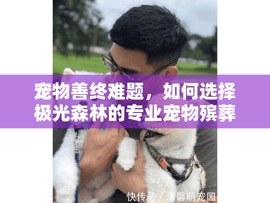 宠物善终难题，如何选择极光森林的专业宠物殡葬服务？