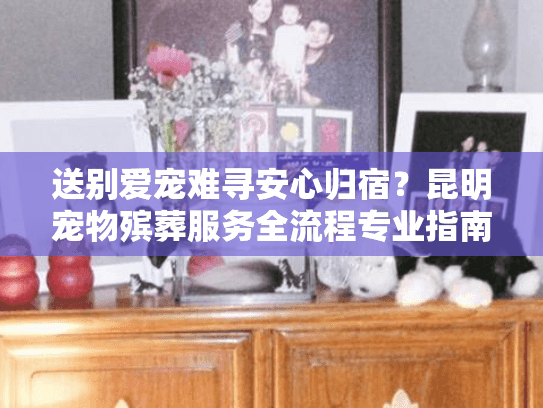 送别爱宠难寻安心归宿？昆明宠物殡葬服务全流程专业指南