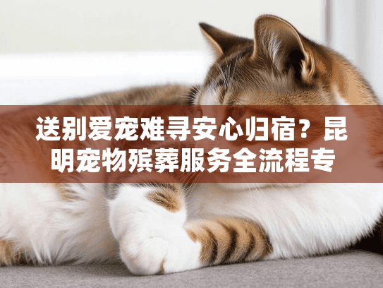 送别爱宠难寻安心归宿？昆明宠物殡葬服务全流程专业指南