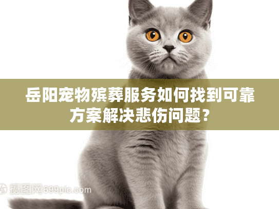 岳阳宠物殡葬服务如何找到可靠方案解决悲伤问题？