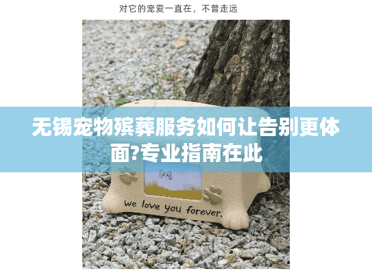无锡宠物殡葬服务如何让告别更体面?专业指南在此