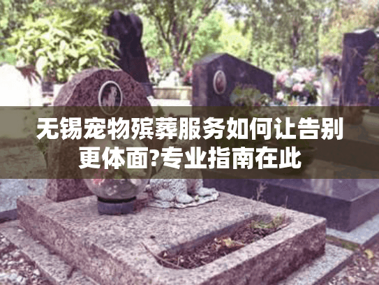 无锡宠物殡葬服务如何让告别更体面?专业指南在此