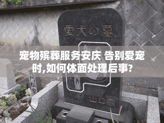 宠物殡葬服务安庆 告别爱宠时,如何体面处理后事?