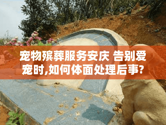 宠物殡葬服务安庆 告别爱宠时,如何体面处理后事?