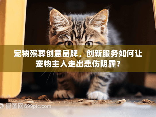 宠物殡葬创意品牌，创新服务如何让宠物主人走出悲伤阴霾？