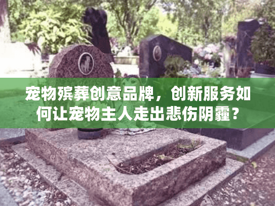 宠物殡葬创意品牌，创新服务如何让宠物主人走出悲伤阴霾？