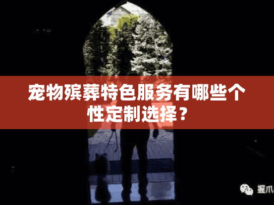 宠物殡葬特色服务有哪些个性定制选择？