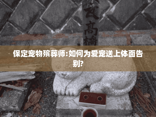 保定宠物殡葬师:如何为爱宠送上体面告别?