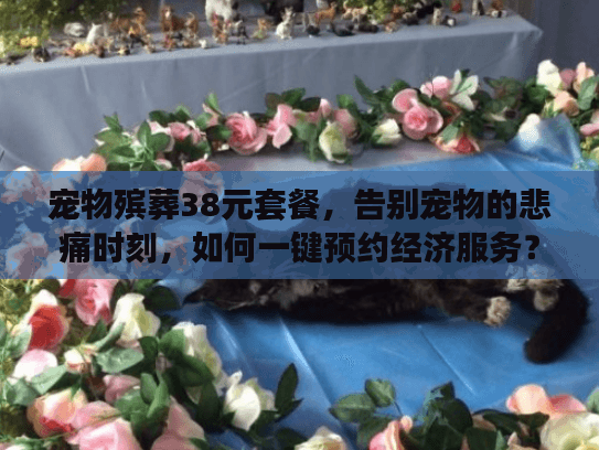 宠物殡葬38元套餐，告别宠物的悲痛时刻，如何一键预约经济服务？