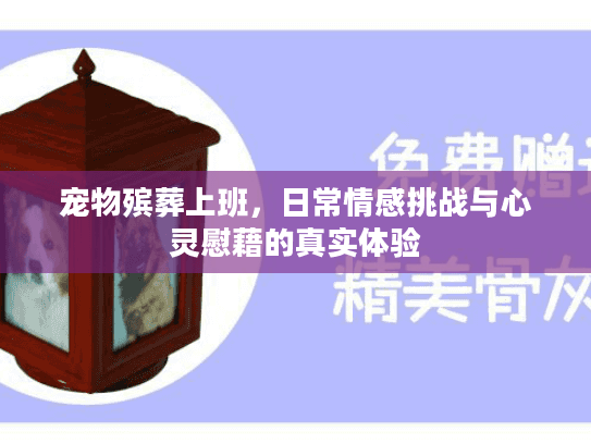 宠物殡葬上班，日常情感挑战与心灵慰藉的真实体验
