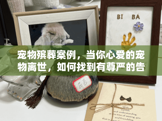 宠物殡葬案例，当你心爱的宠物离世，如何找到有尊严的告别服务？