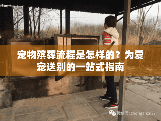 宠物殡葬流程是怎样的？为爱宠送别的一站式指南