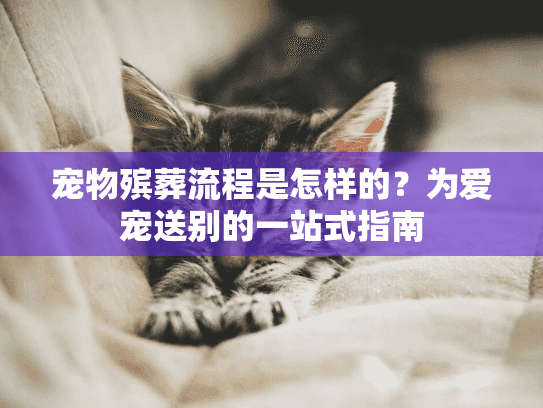 宠物殡葬流程是怎样的？为爱宠送别的一站式指南