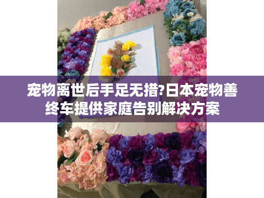 宠物离世后手足无措?日本宠物善终车提供家庭告别解决方案