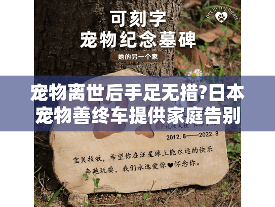宠物离世后手足无措?日本宠物善终车提供家庭告别解决方案