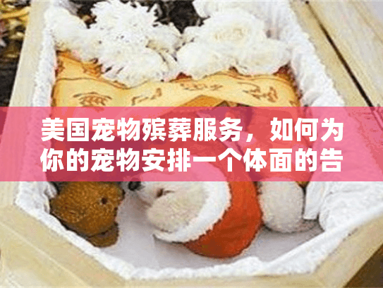 美国宠物殡葬服务，如何为你的宠物安排一个体面的告别？