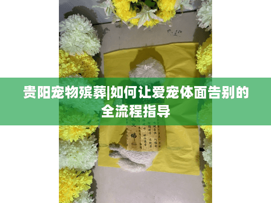 贵阳宠物殡葬|如何让爱宠体面告别的全流程指导