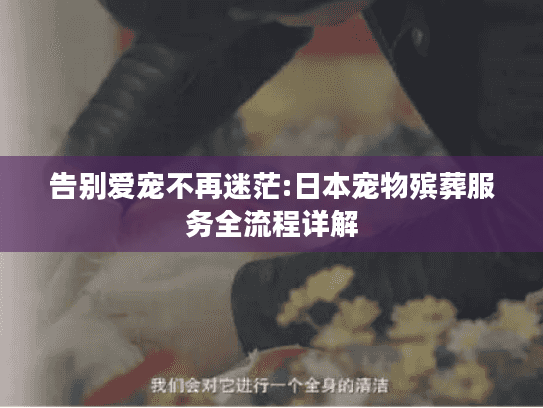 告别爱宠不再迷茫:日本宠物殡葬服务全流程详解